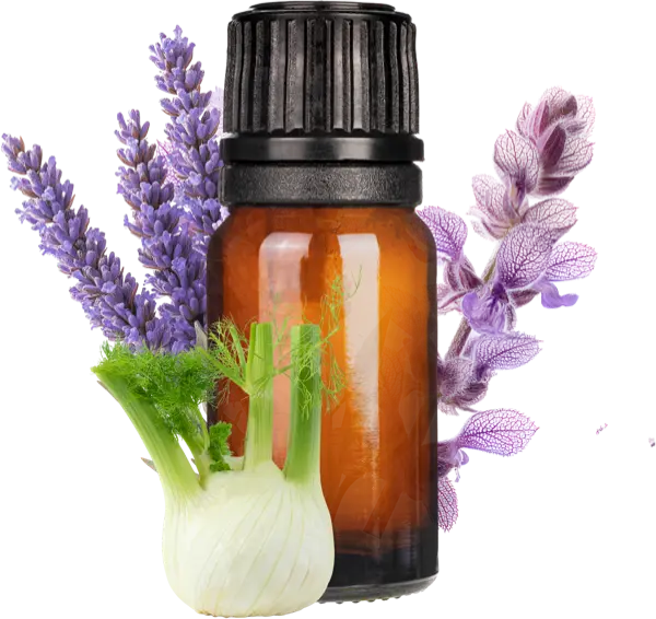 Enter the Dragon EO Blend - Essential Oils