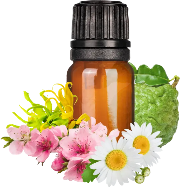 Fruity Green Tea EO Blend - Essential Oils