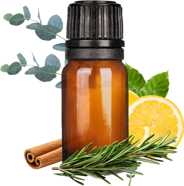 Four Thieves EO Blend - Fall Winter 10