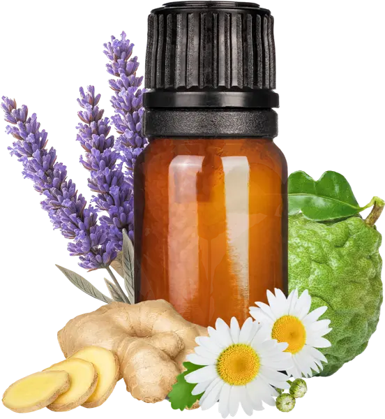 Gaeas Blessing EO Blend - Essential Oils