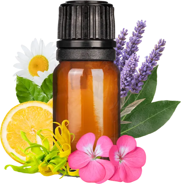 Gentler Baby EO Blend - Promos