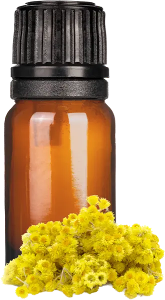 Helichrysum Replacer Fragrance - Essential Oils