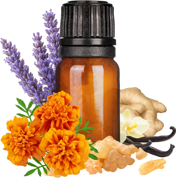 Innocent: Hero Archetype EO Blend - Essential Oils