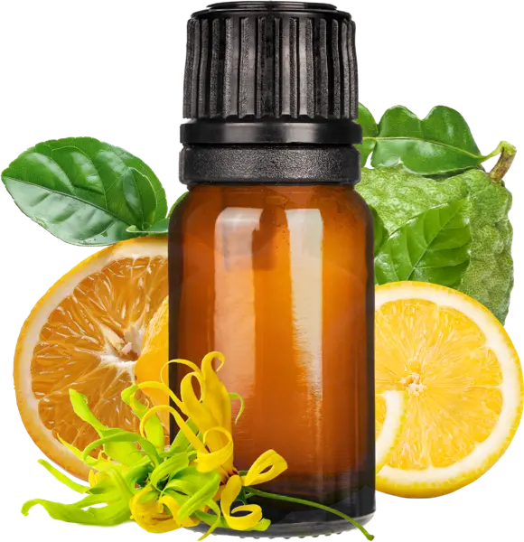 Jester: Hero Archetype EO Blend - Essential Oils