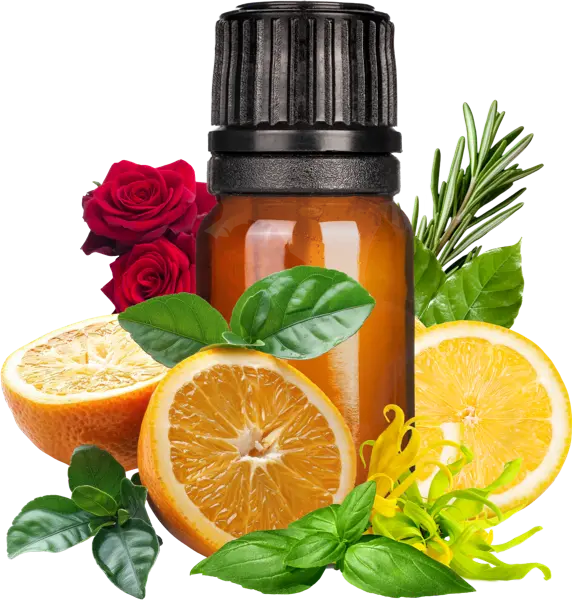 Seeker: Hero Archetype EO Blend - Essential Oils