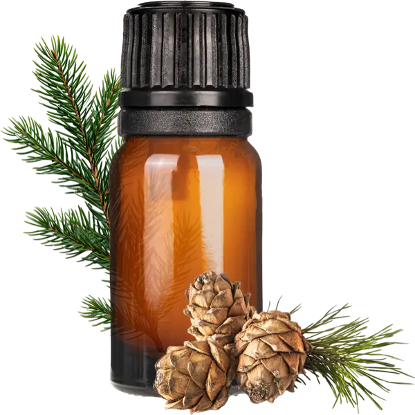 Hunters Earth II EO Blend - Essential Oils