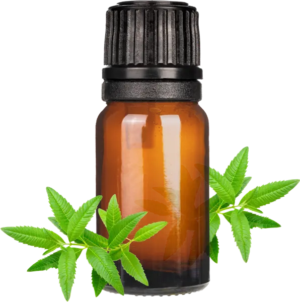 Lemongrass EO Blend - Essential Oils