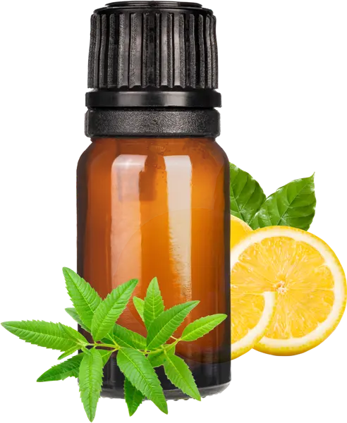 Lemon Verbena (Replacer) EO Blend - Essential Oils