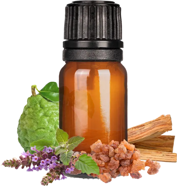 Meditate EO Blend - Essential Oils