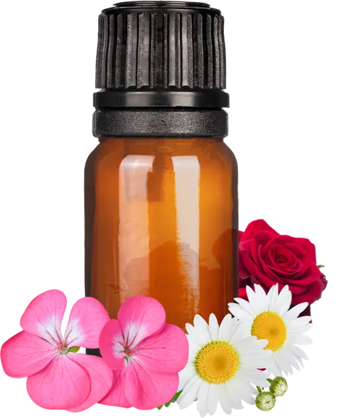 Geranium (Replacer) EO Blend - Essential Oils