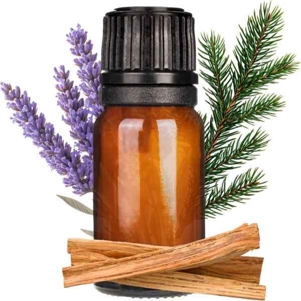 Prosperity EO Blend 2017 - Essential Oils