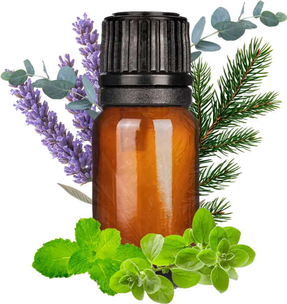 Respiratory Care (Duplication) EO Blend - Essential Oils