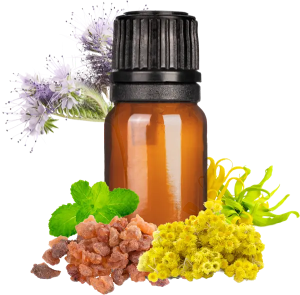 Royal Sapphire Deep Penetrating Muscle R - Essential Oils