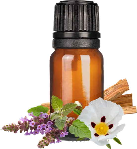 Saharan Spice Market EO Blend - Essential Oils