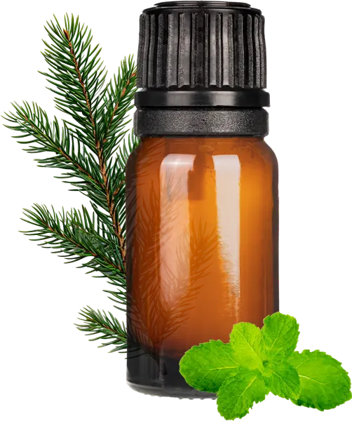 Snowball EO Blend - Essential Oils