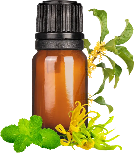 Tei-Fu EO Blend - Essential Oils