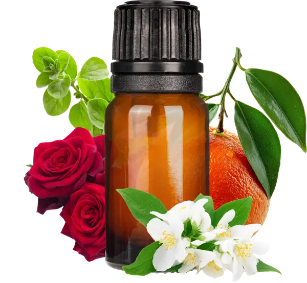 Moon (Zodiac) EO Blend - Essential Oils