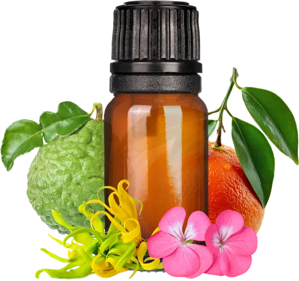 Sun (Zodiac) EO Blend - Essential Oils