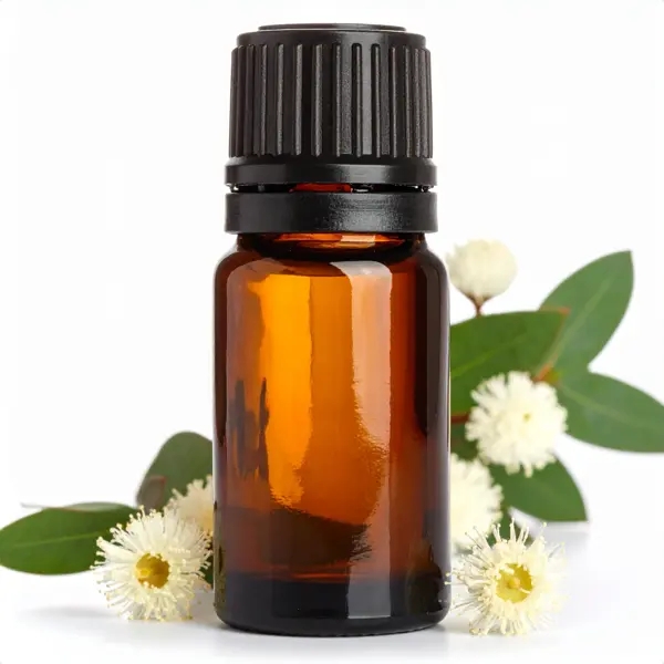 Eucalyptus globulus EO, China - Essential Oils