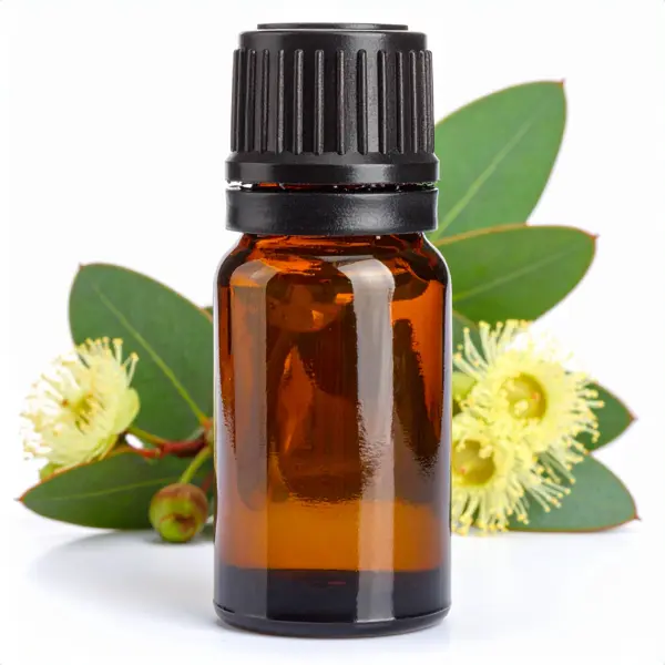 Eucalyptus globulus EO, Australia - Essential Oils