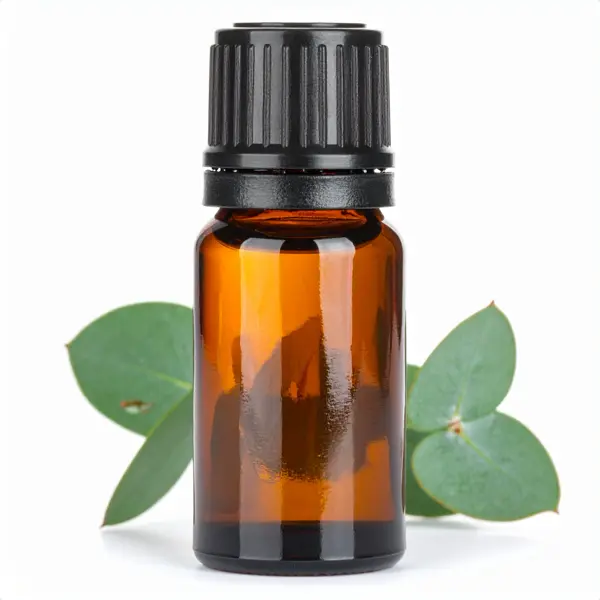 Eucalyptus radiata EO - Essential Oils
