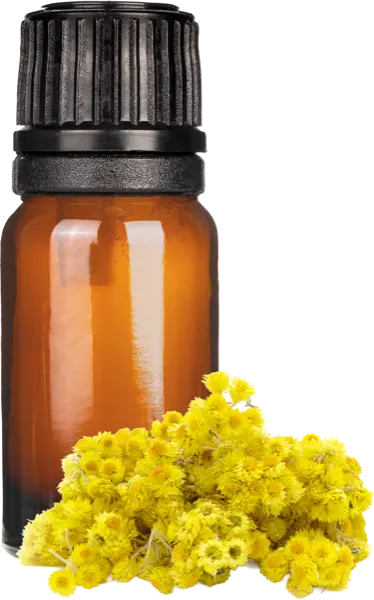 Helichrysum italicum (Immortelle) Abs - Essential Oils