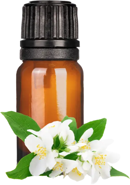 Jasmine grandiflorum Abs - Essential Oils