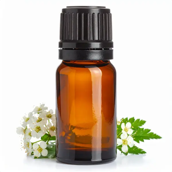Meadowfoam Seed Oil - Essential Oils