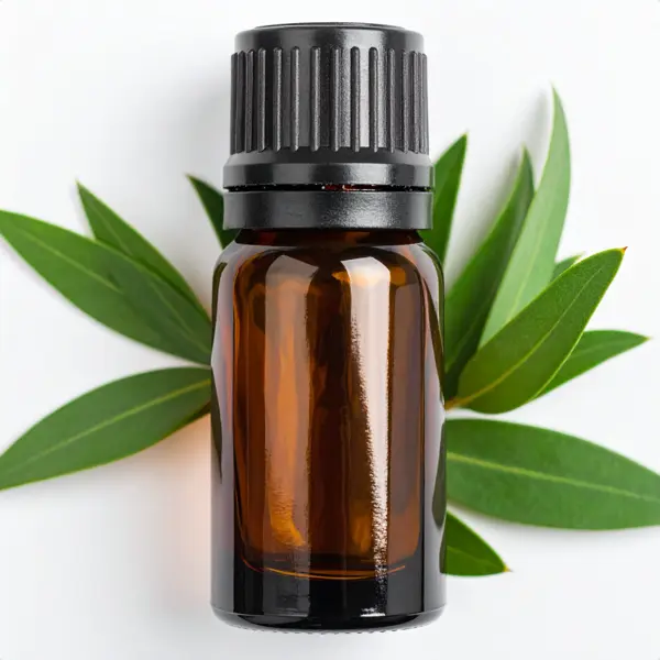 Lemon Verbena EO - Essential Oils