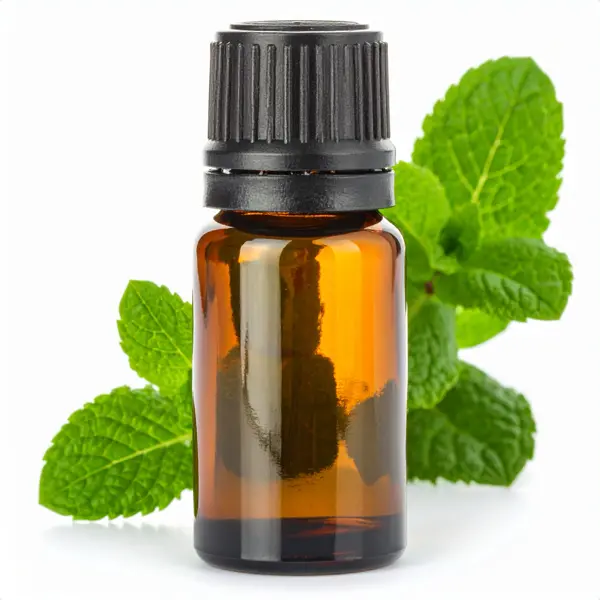 Cornmint EO, India - Essential Oils