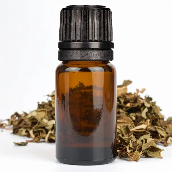 Catnip EO - Essential Oils