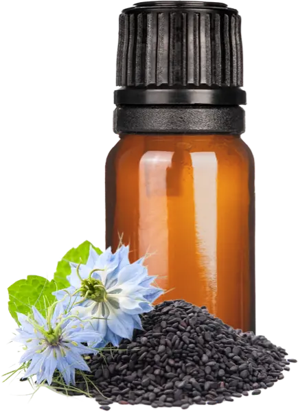Black Cumin Seed Oil