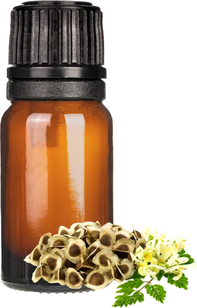 Moringa Seed (Virgin, Filtered) Oil