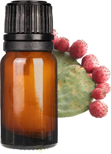 Prickly Pear Seed Oil