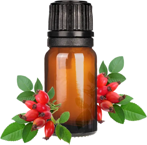 Rosehip Oil - Essential Oils