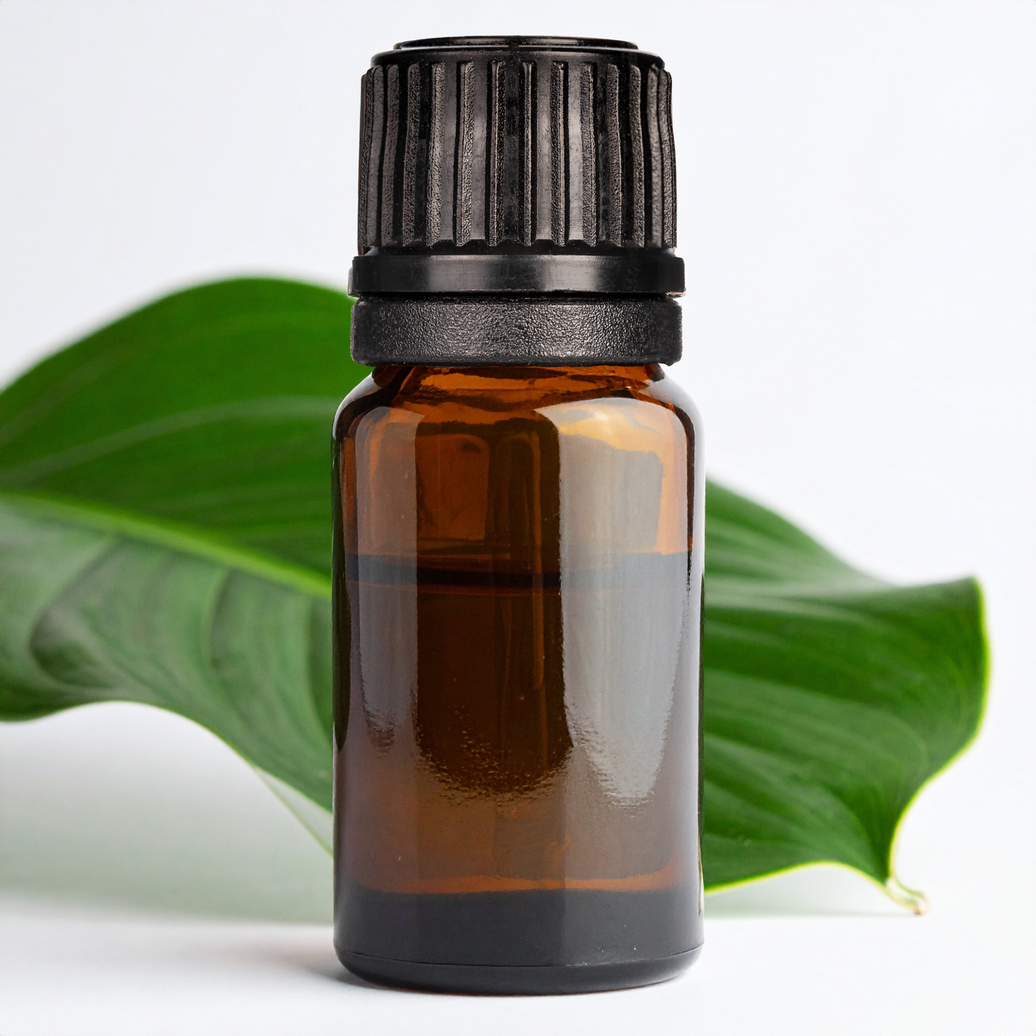 Ocotea (Ishpingu) EO - Liquidation