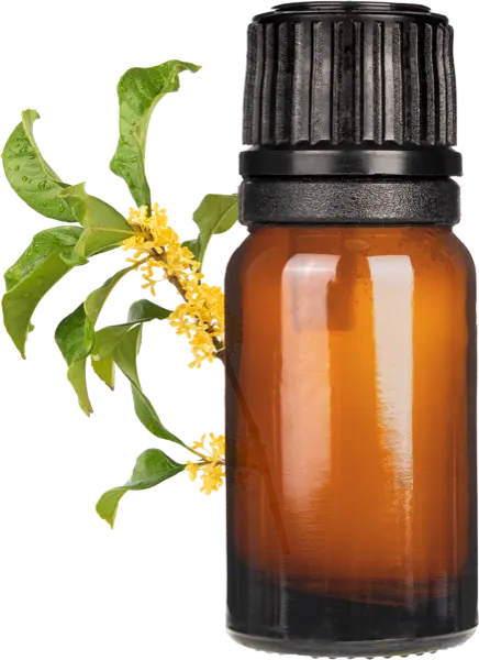 Osmanthus Absolute - Essential Oils