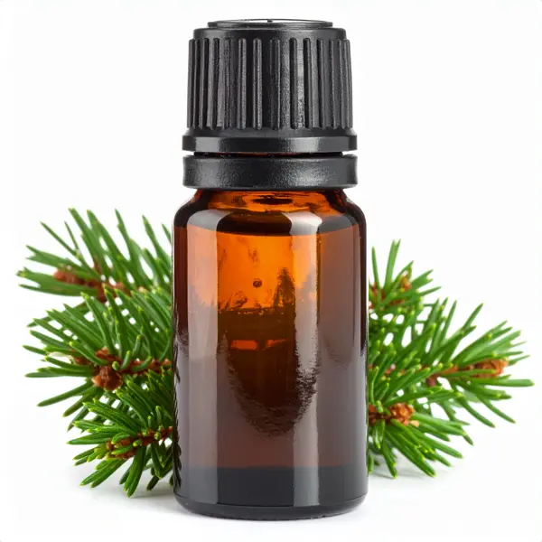 Spruce EO Black - Essential Oils