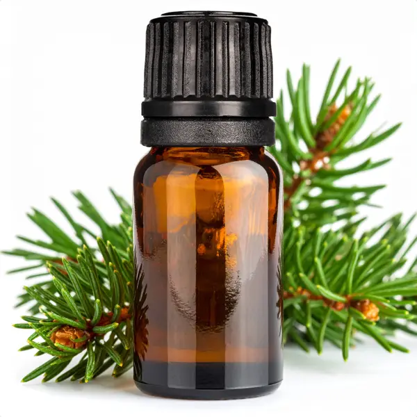Pine Needle (Scots Pine) EO - Essential Oils