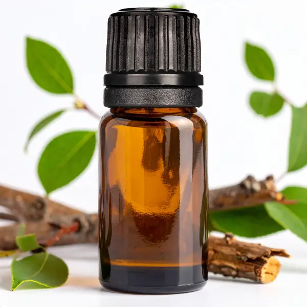 Ravansara (Anisata) EO Bark - Essential Oils