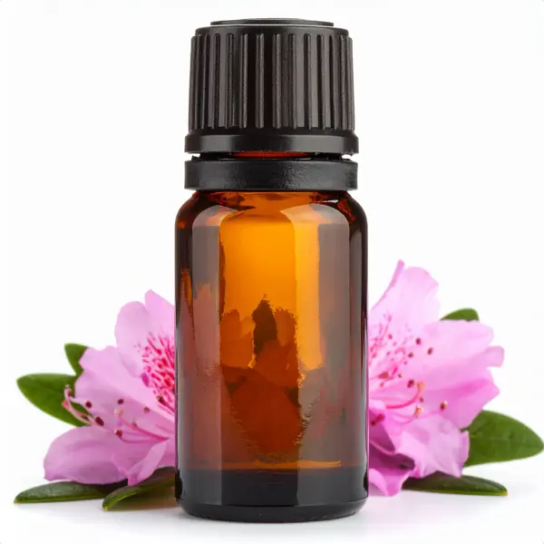 Rhododendron (Anthopogon) EO - Essential Oils
