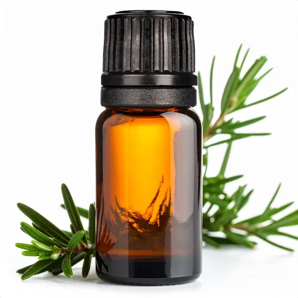 Rosemary (ct. Verbenone) EO - Essential Oils