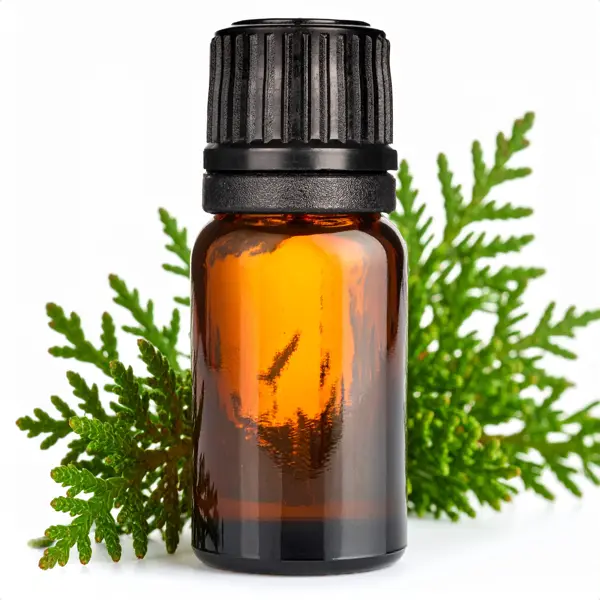 Cedarleaf EO - Essential Oils
