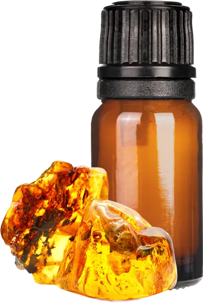 Amber Musk Fragrance