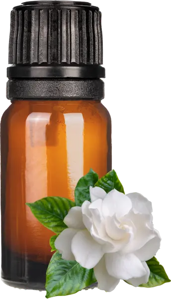 Gardenia Fragrance