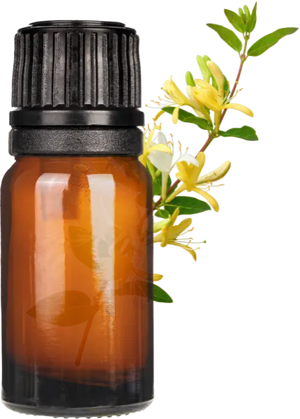 Honeysuckle Fragrance