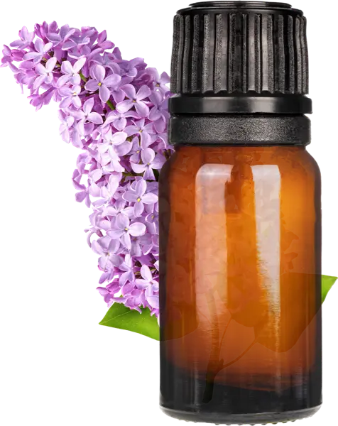 Taratahi Lilac Fragrance