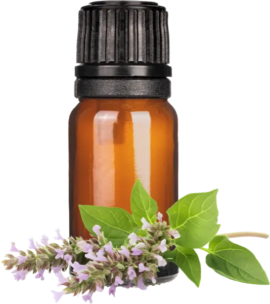 Patchouli Soapers Fragrance