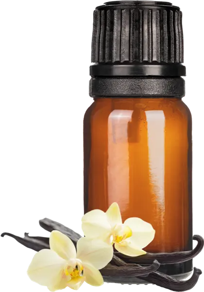 Sensual Vanilla Musk Fragrance